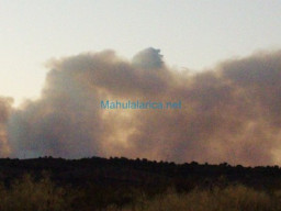Fotos Noticias 2010